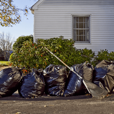 Yard Debris Removal